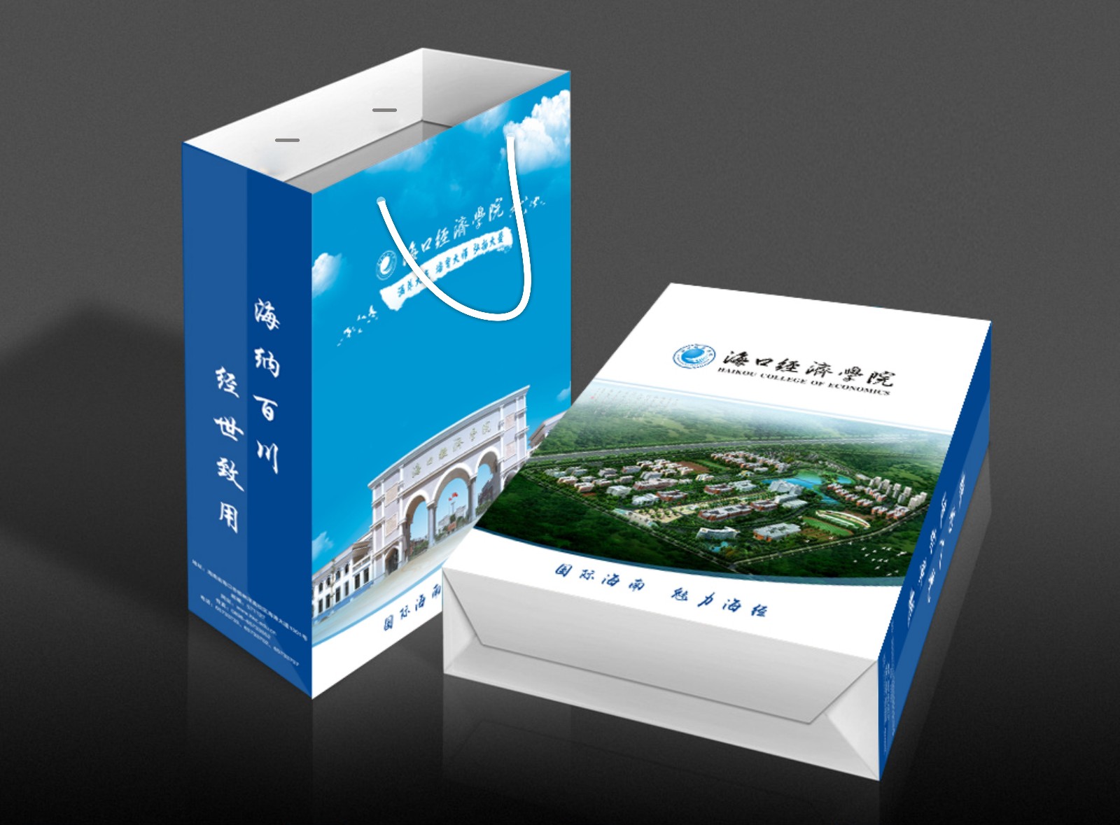海口经济学院-手提袋