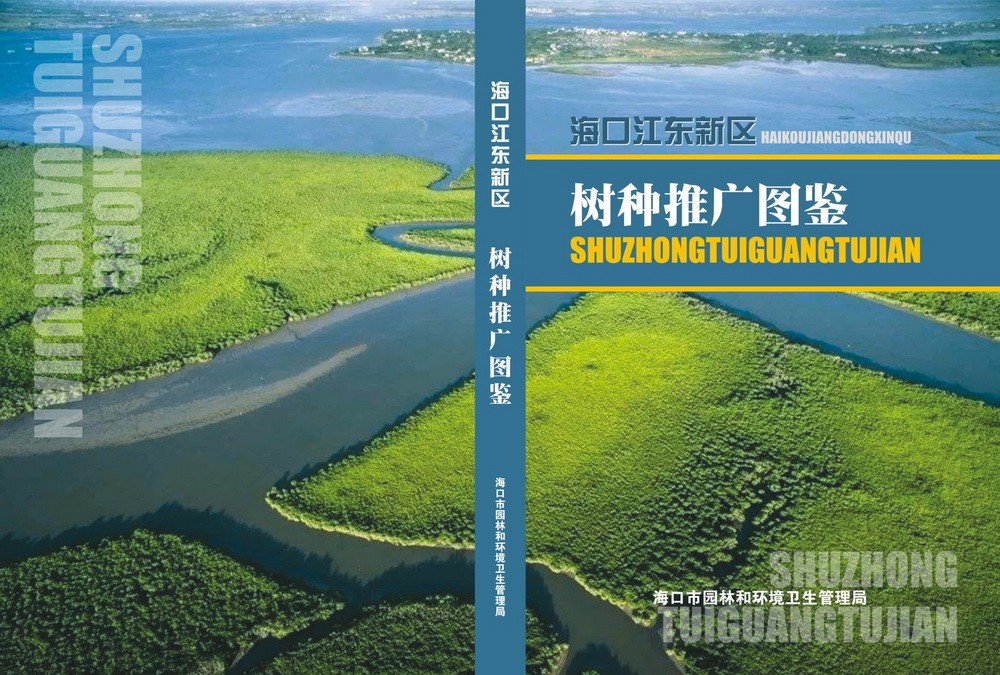 江东新区图鉴封面11.8.jpg